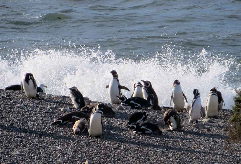 BAC_Madryn_04