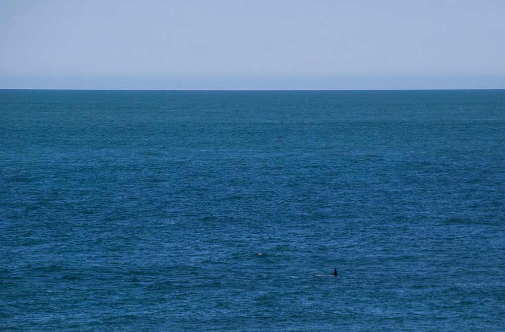 BAC_Madryn_08