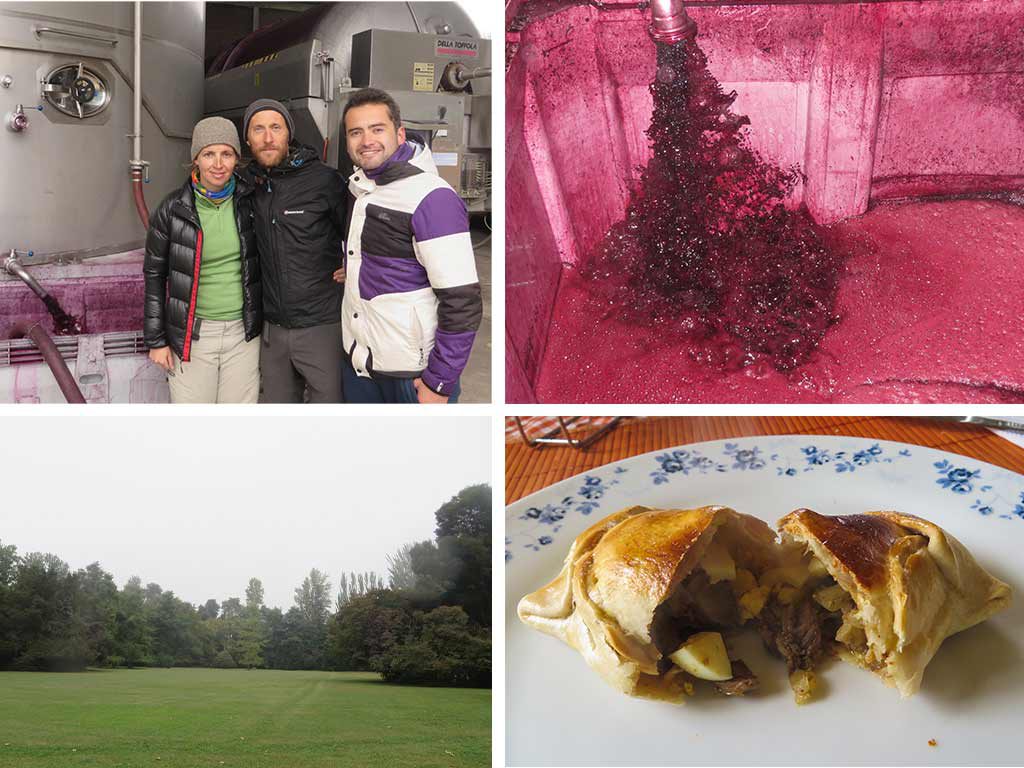 BAC_CasaRuralCurico_02