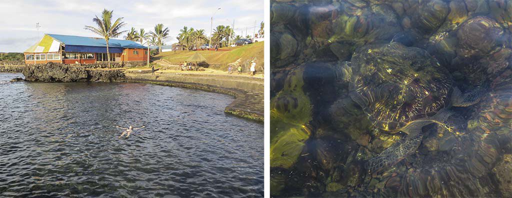 BAC_Isla-de-Pascua_Tortugas